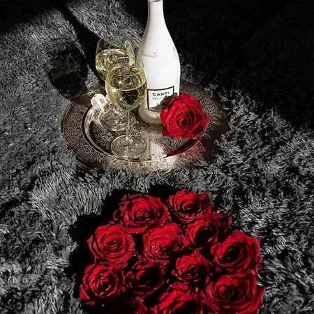 Of Victory Lejlighed *